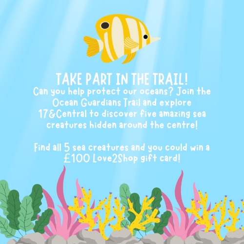 free activity for kids